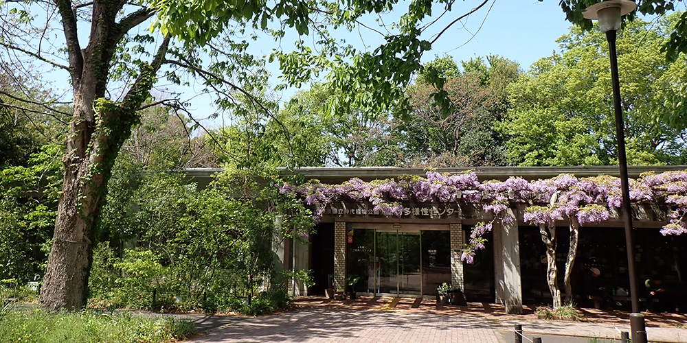 神代植物公園 植物多様性センター
