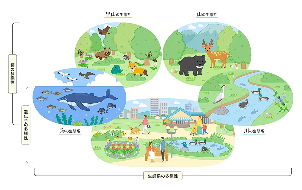 生物多様性の図解