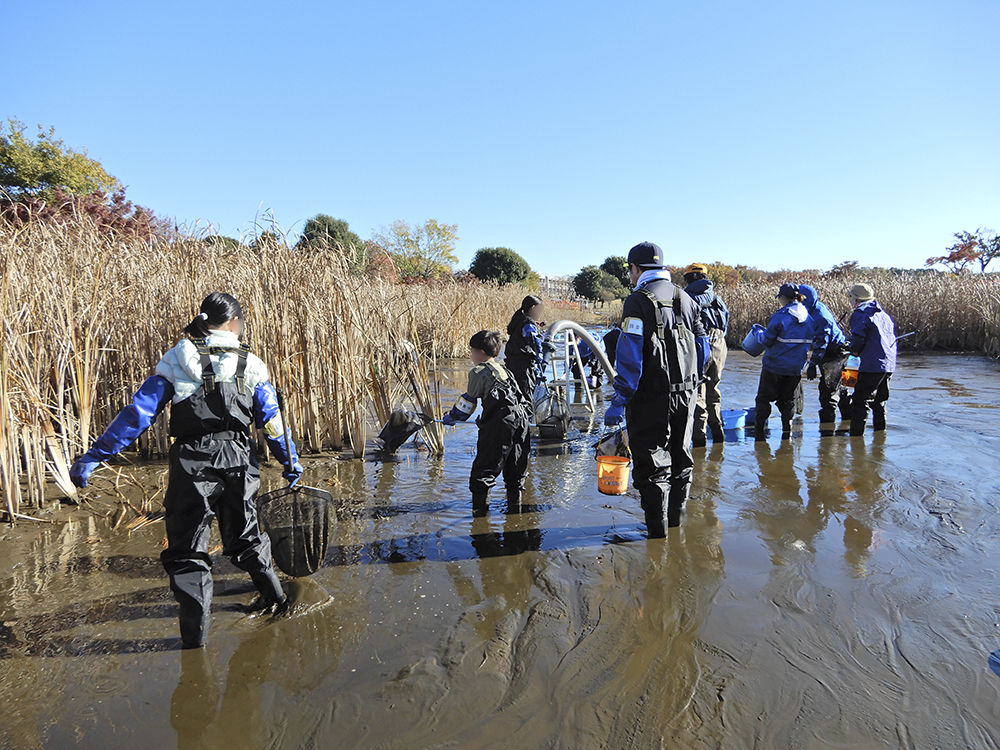 排水・生物の捕獲