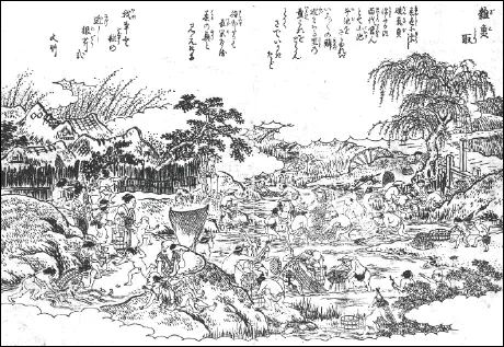 昔のかいぼりの様子