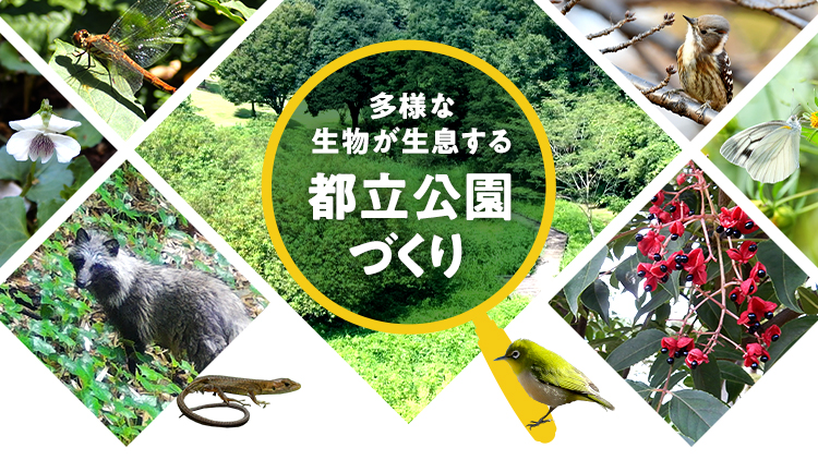 多様な生物が生息する都立公園づくり
