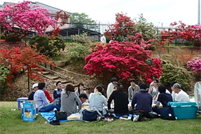 Flower viewing