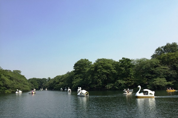 井の頭恩賜公園の写真