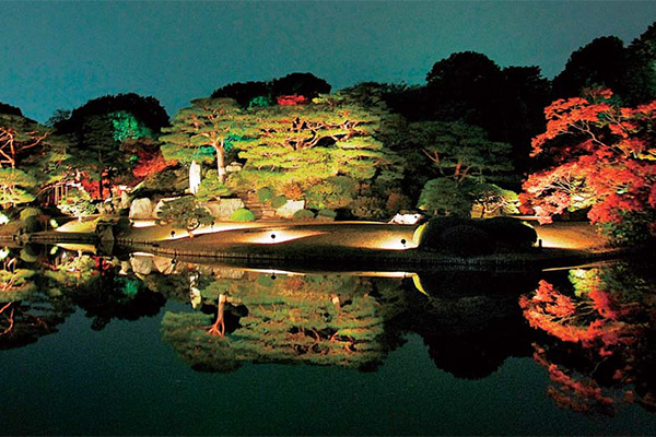 紅葉がライトアップされる公園