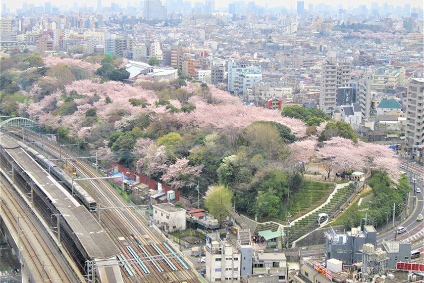 Asukayama Park