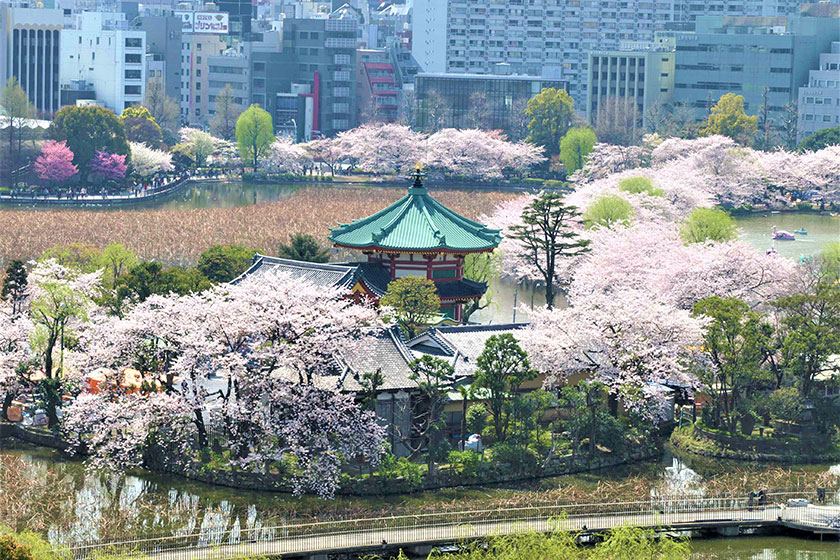 Ueno Onshi Park