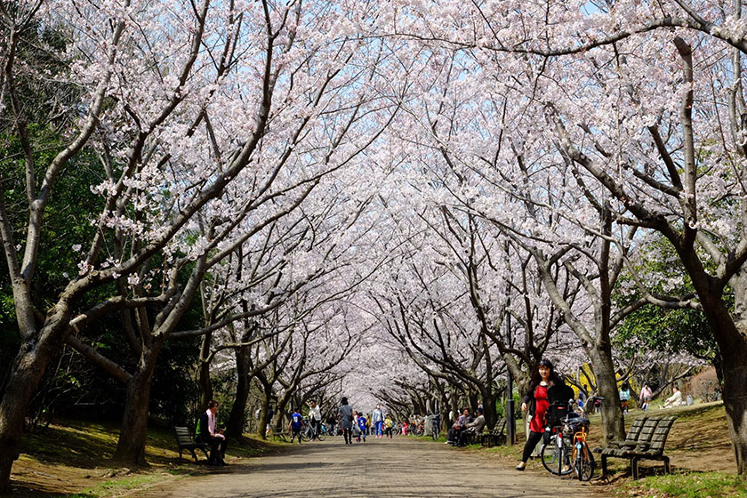 Kasai Rinkai Park