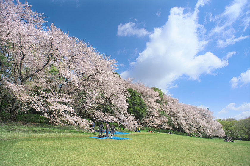 Kinuta Park
