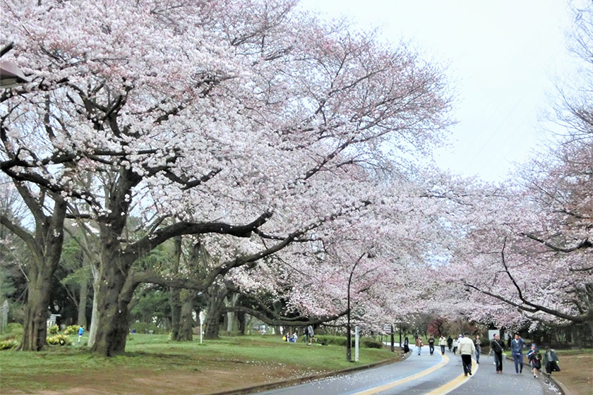 Komazawa Olympic Park
