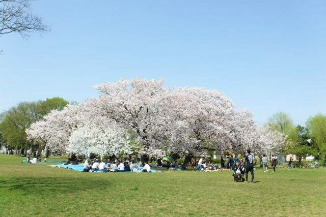 Shinozaki Park