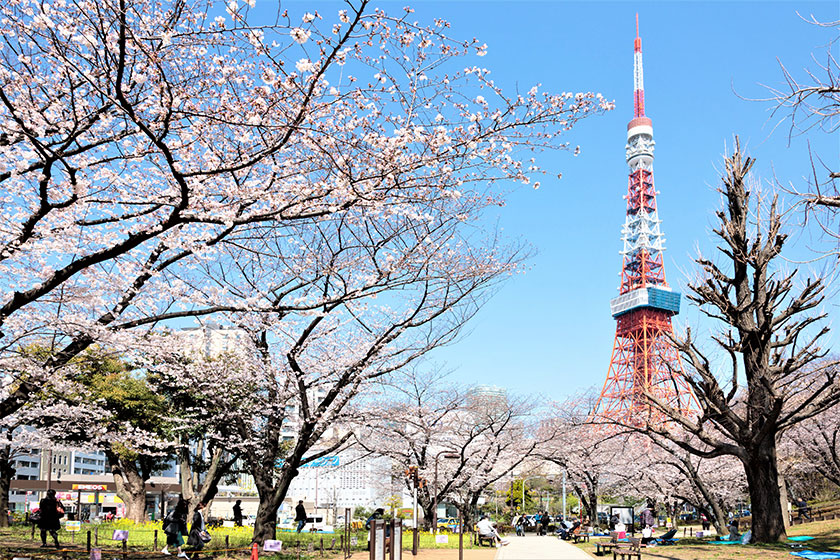 Shiba Park