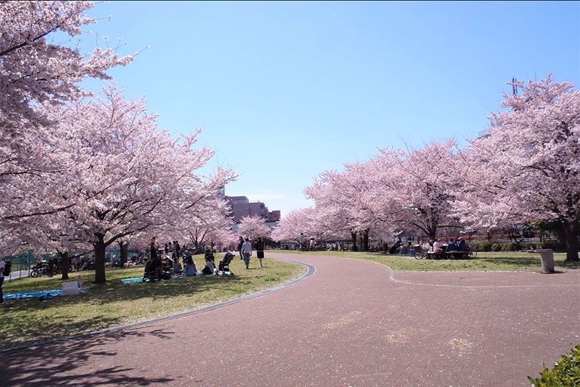 Jouhoku Chuou Park
