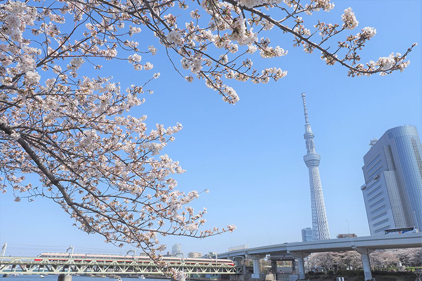 Sumida Park