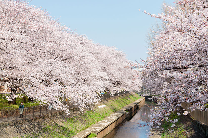 Zenpukujigawa Ryokuchi Park
