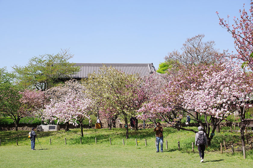 Toshi Nougyou Park