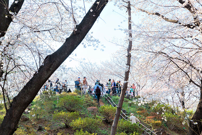 Toyama Park