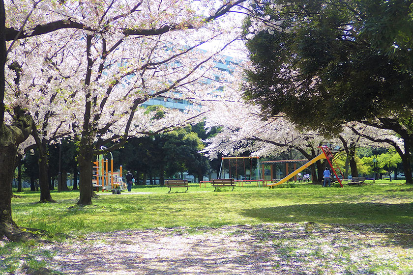 Higashishirahige Park
