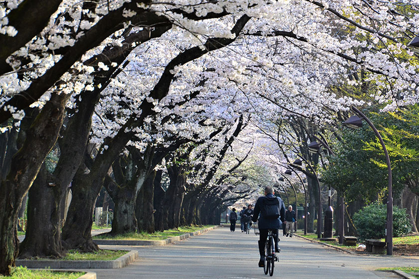 Hikarigaoka Park