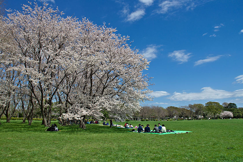 Mizumoto Park