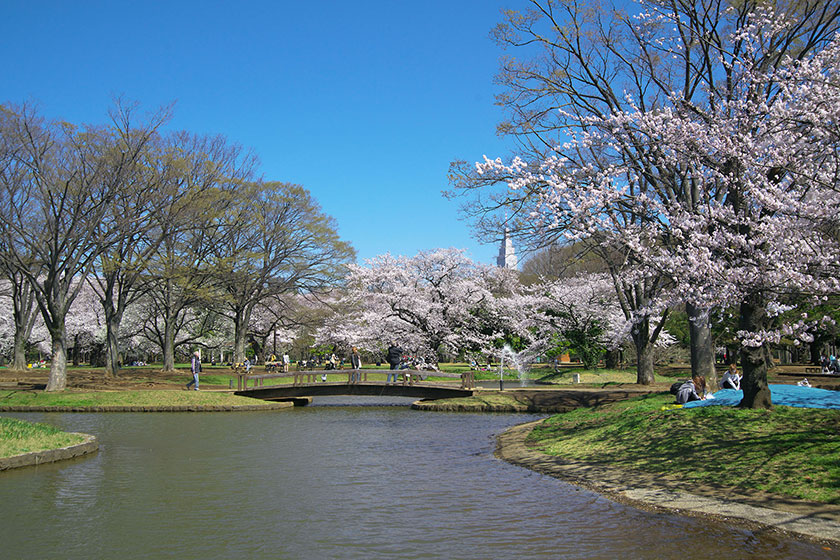 Yoyogi Park