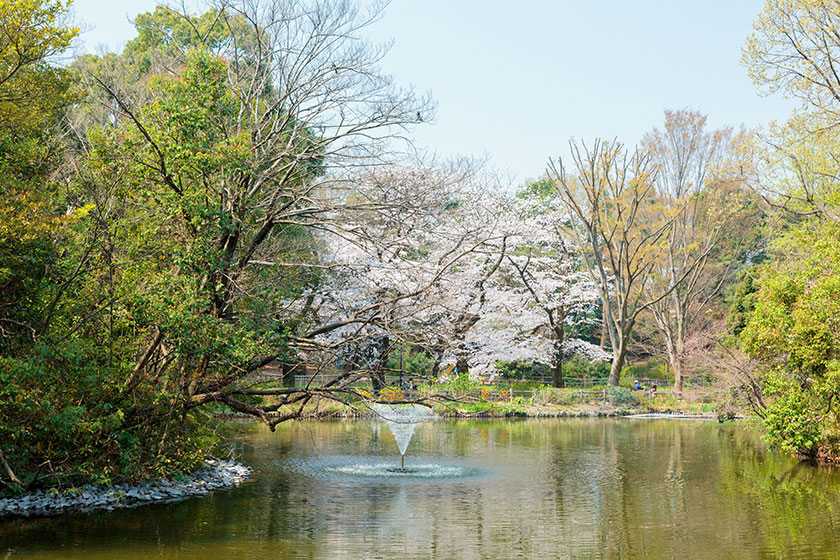 Wadabori Park