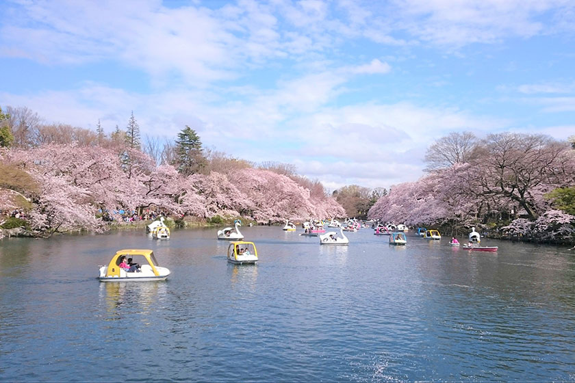 Inogashira Onshi Park