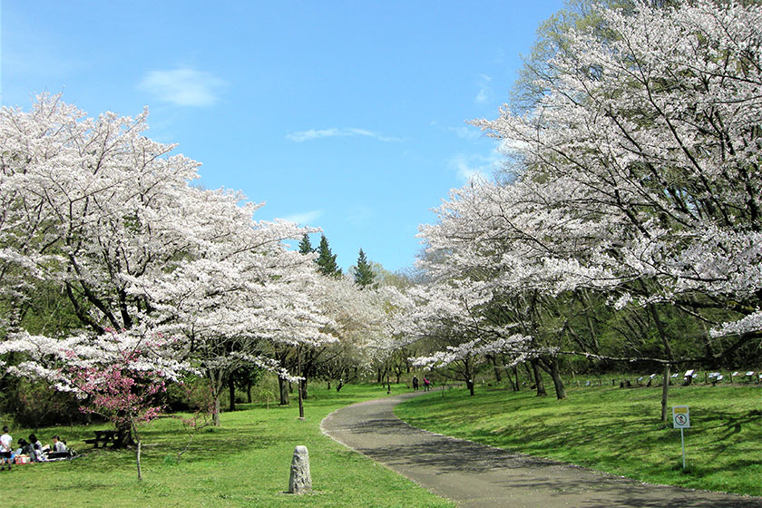 Sakuragaoka Park