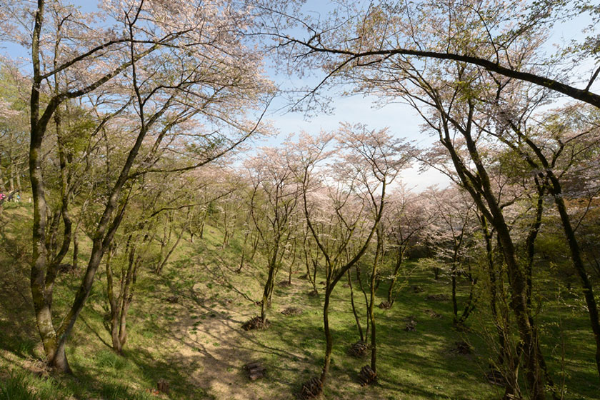 Takiyama Park