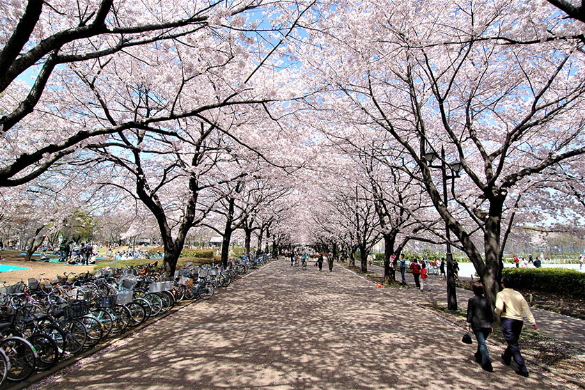 Fuchu no Mori Park
