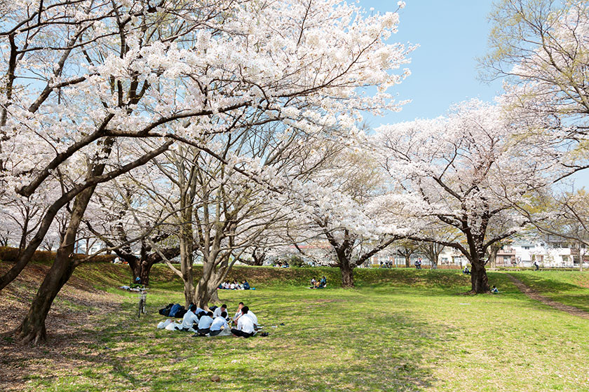 Musashino no Mori Park