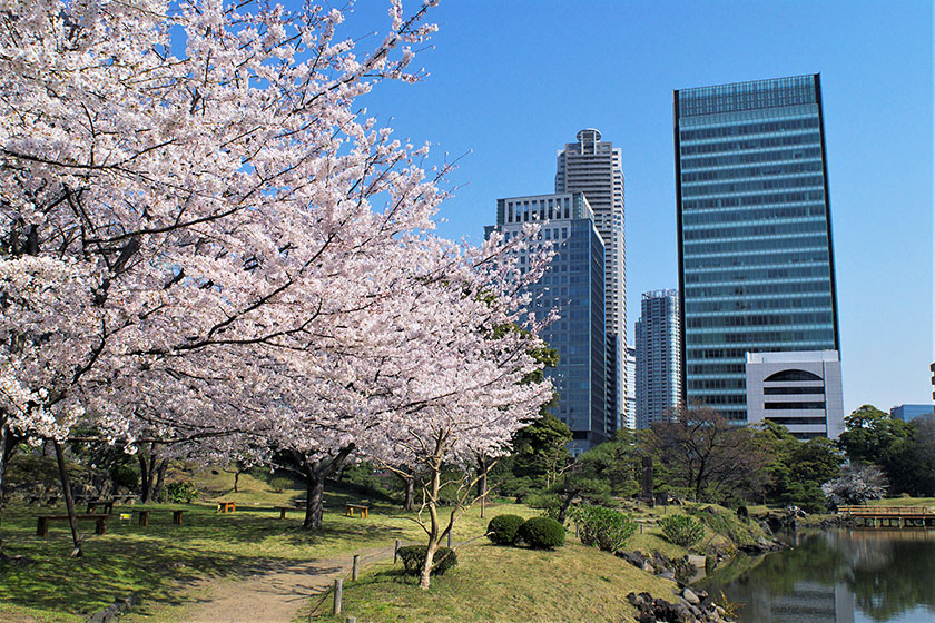 Kyu-Shiba-rikyu Gardens