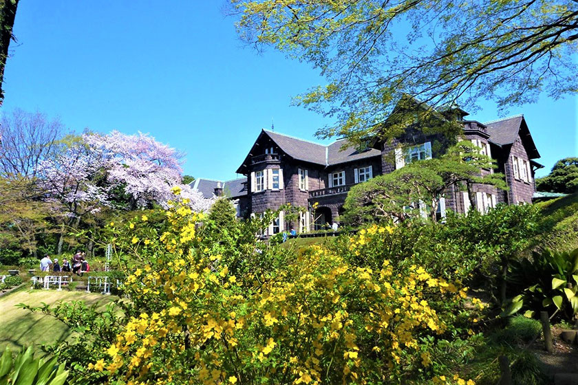 Kyu-Furukawa Gardens