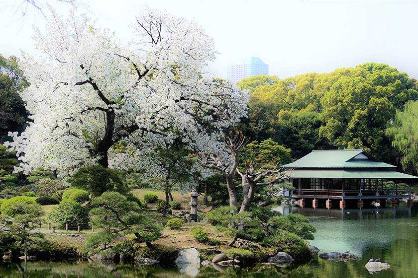 Kiyosumi Gardens