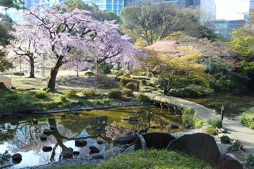 Koishikawa Korakuen Gardens