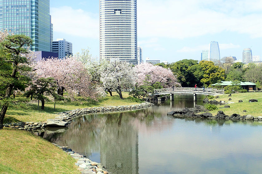 Hama-rikyu Gardens