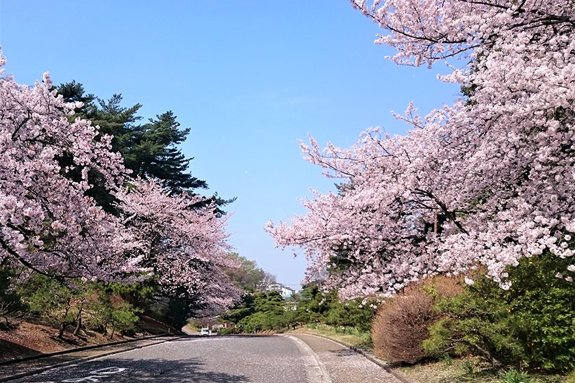 Yahashira Cemetery