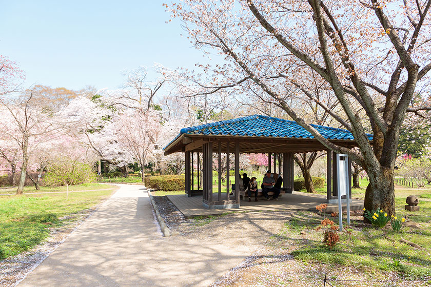Jindai Botanical Park