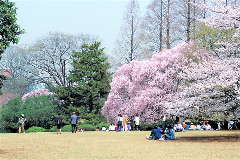 Shinjuku Gyoen