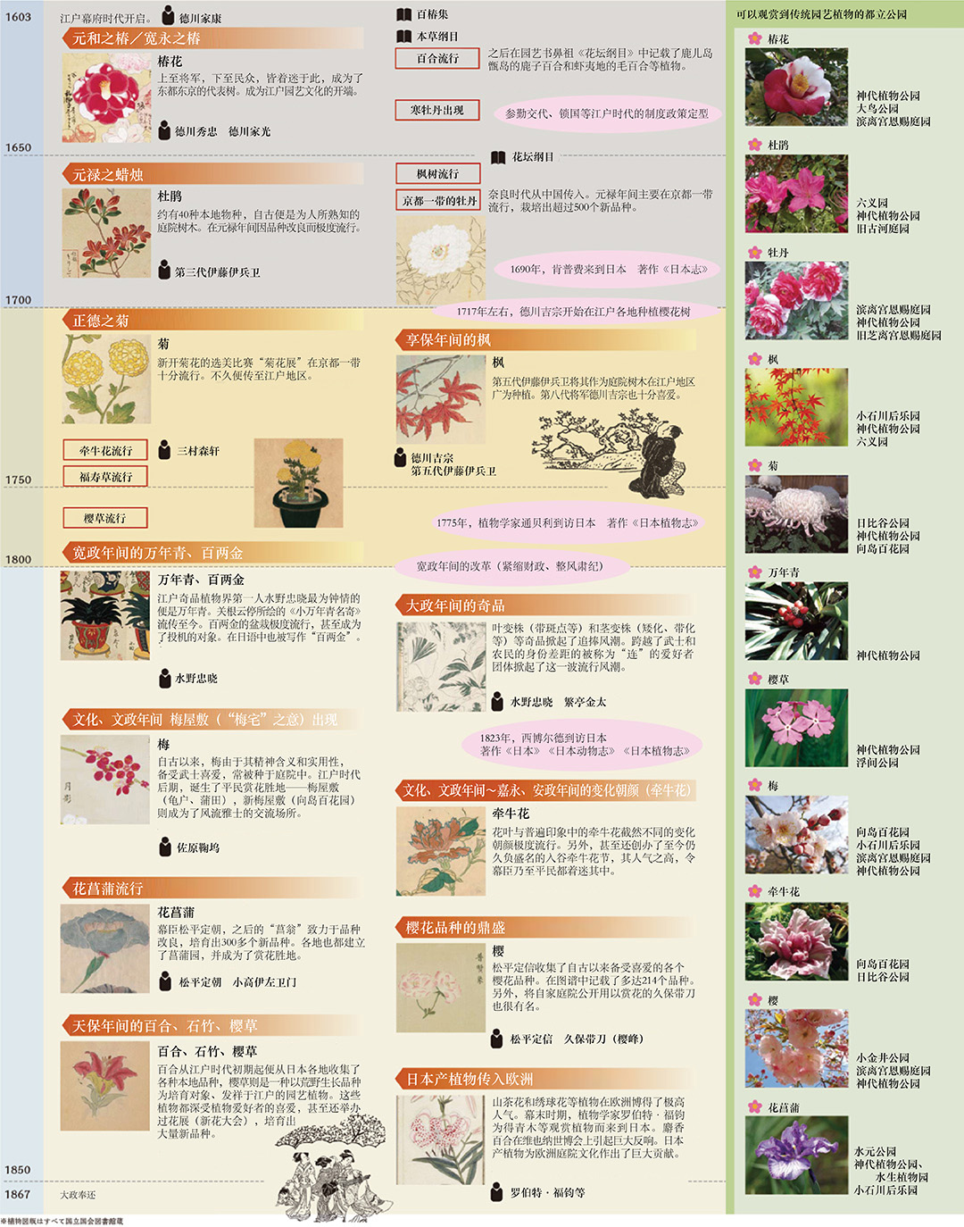 传统园艺植物之历史年表及可欣赏到传统园艺植物之都立公园图表