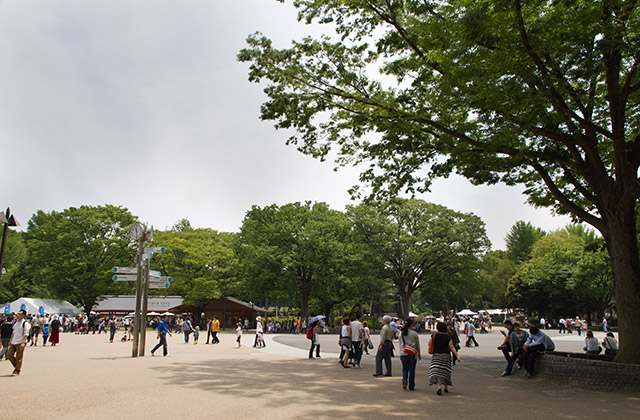 園內風景