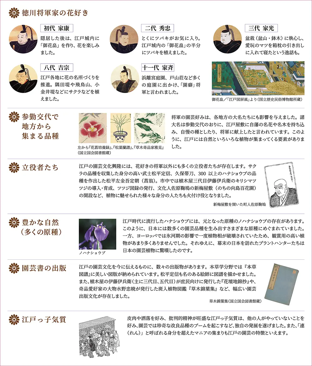 江戸伝統園芸植物の歴史