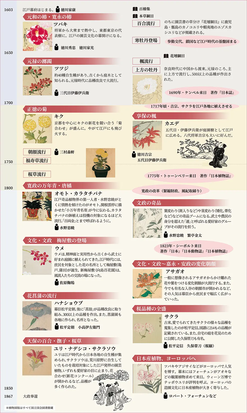 江戸伝統園芸植物の歴史
