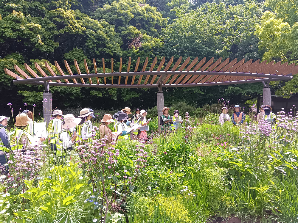 講座・展示
