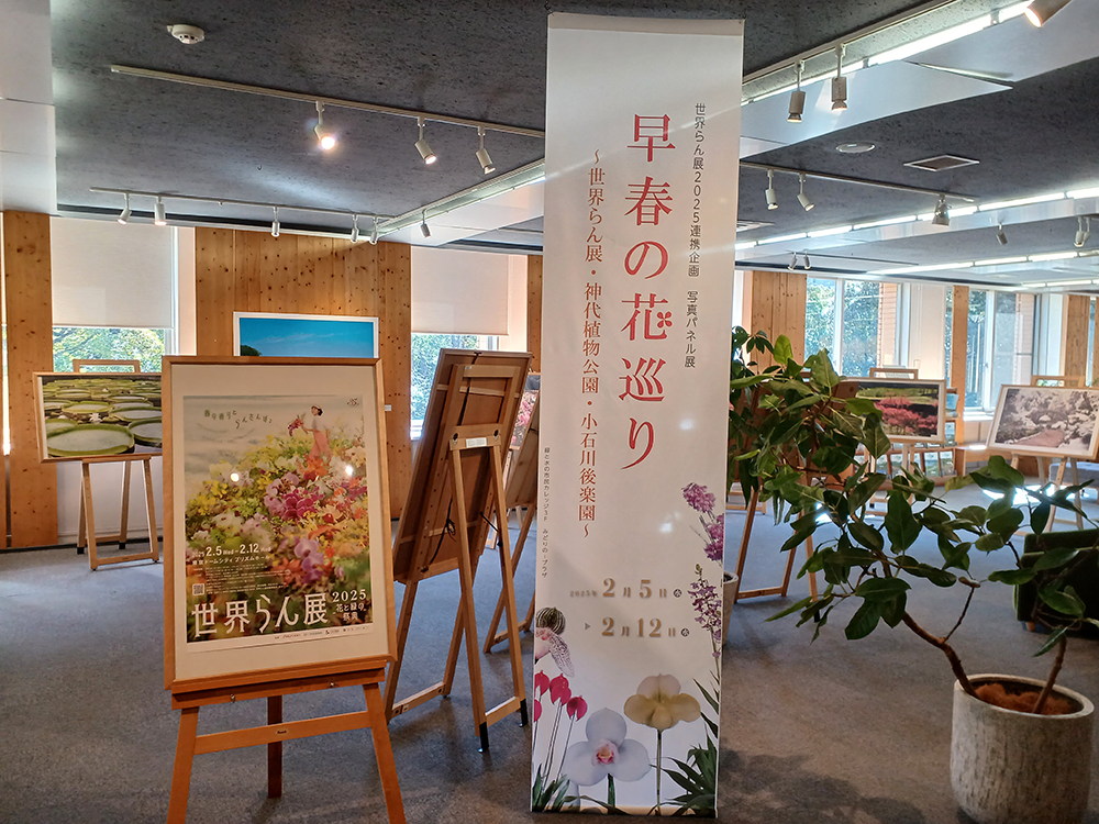 講座・展示
