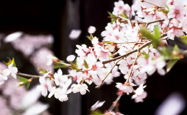 もっと知る、学ぶ