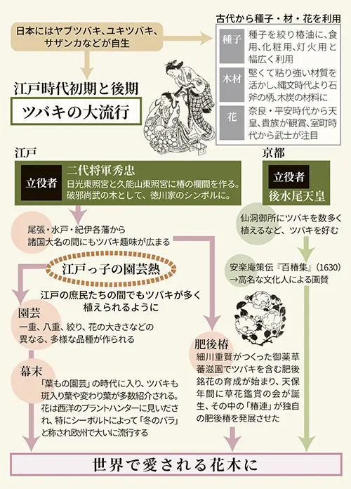 ツバキ