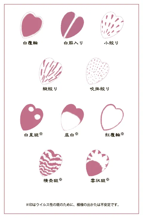 主な花模様