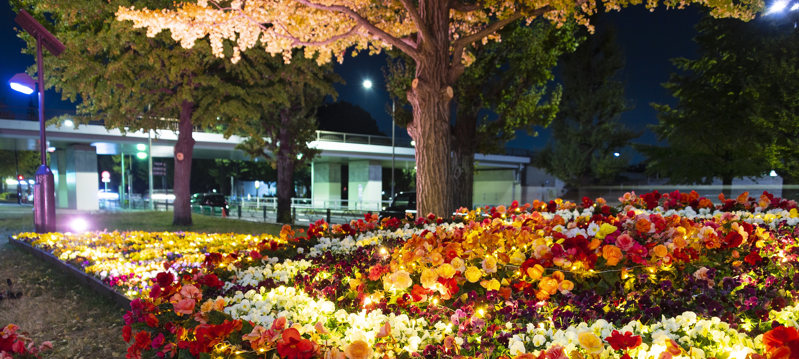 komazawa