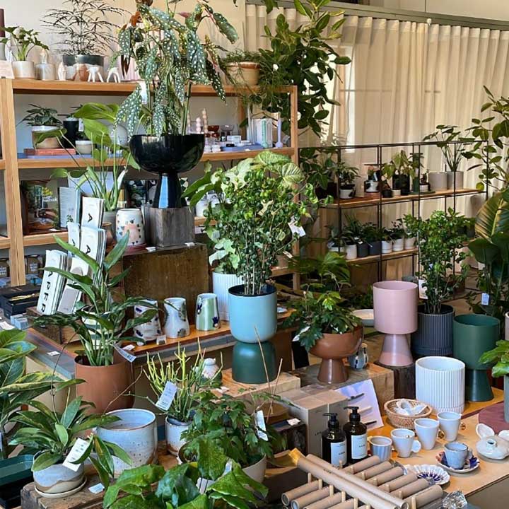 The Plant Society TOKYO