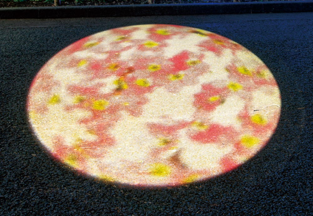 小金井公園の画像1